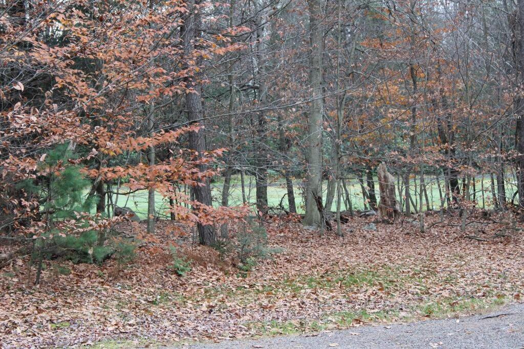Luxury 4 Bedroom House In Pocono Mountains In Golf Course Near Lake Tobyhanna Buitenkant foto
